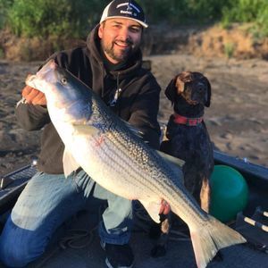 Meet your Posher, Rickey